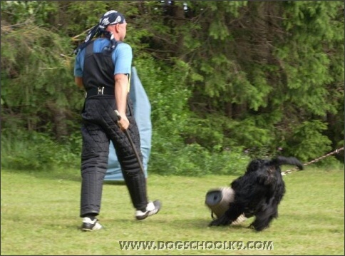 Summer training camp in Estonia 2007